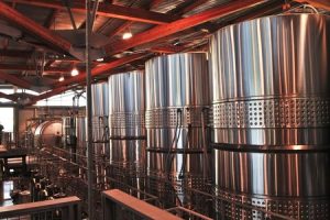 fermentación del vino