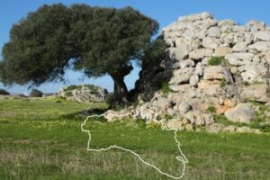 vinos de menorca